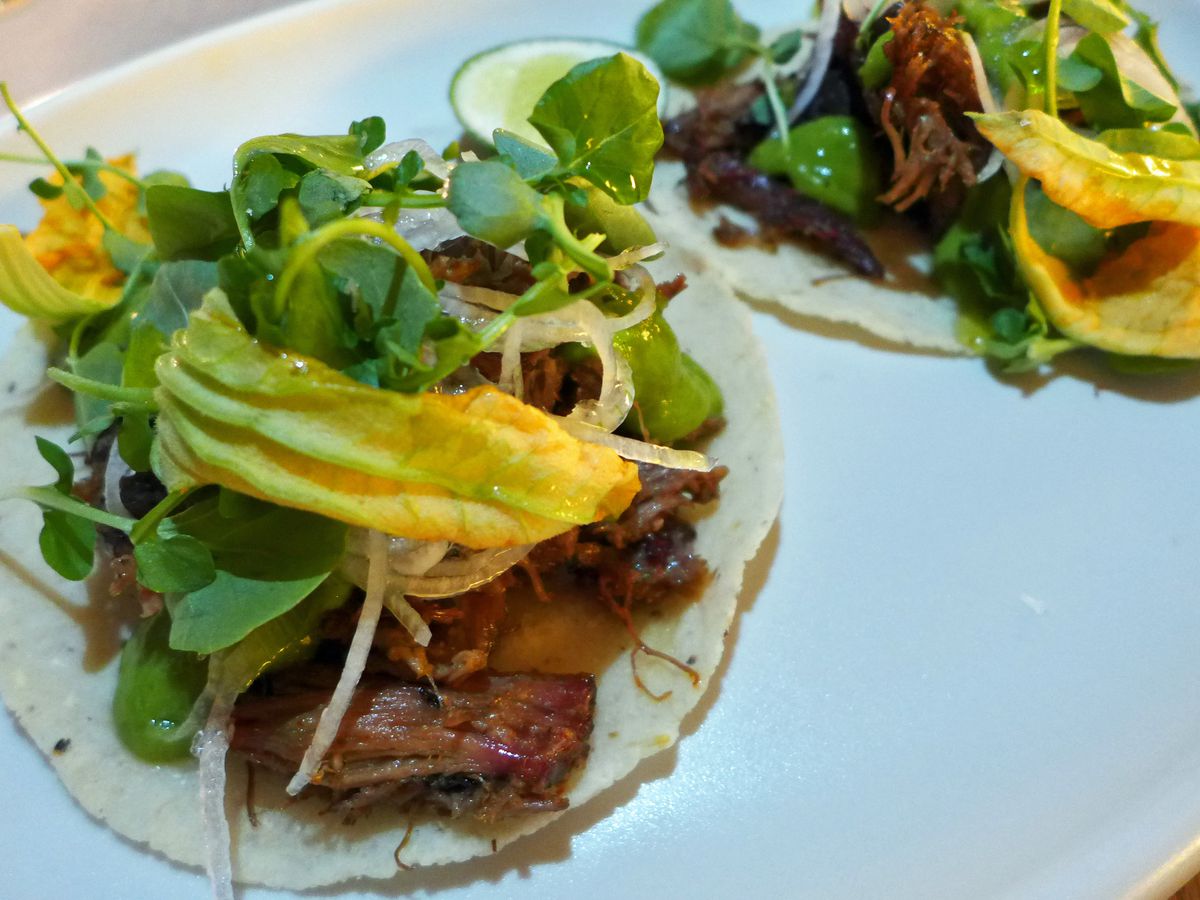 Lamb barbacoa tacos topped with squash blossoms