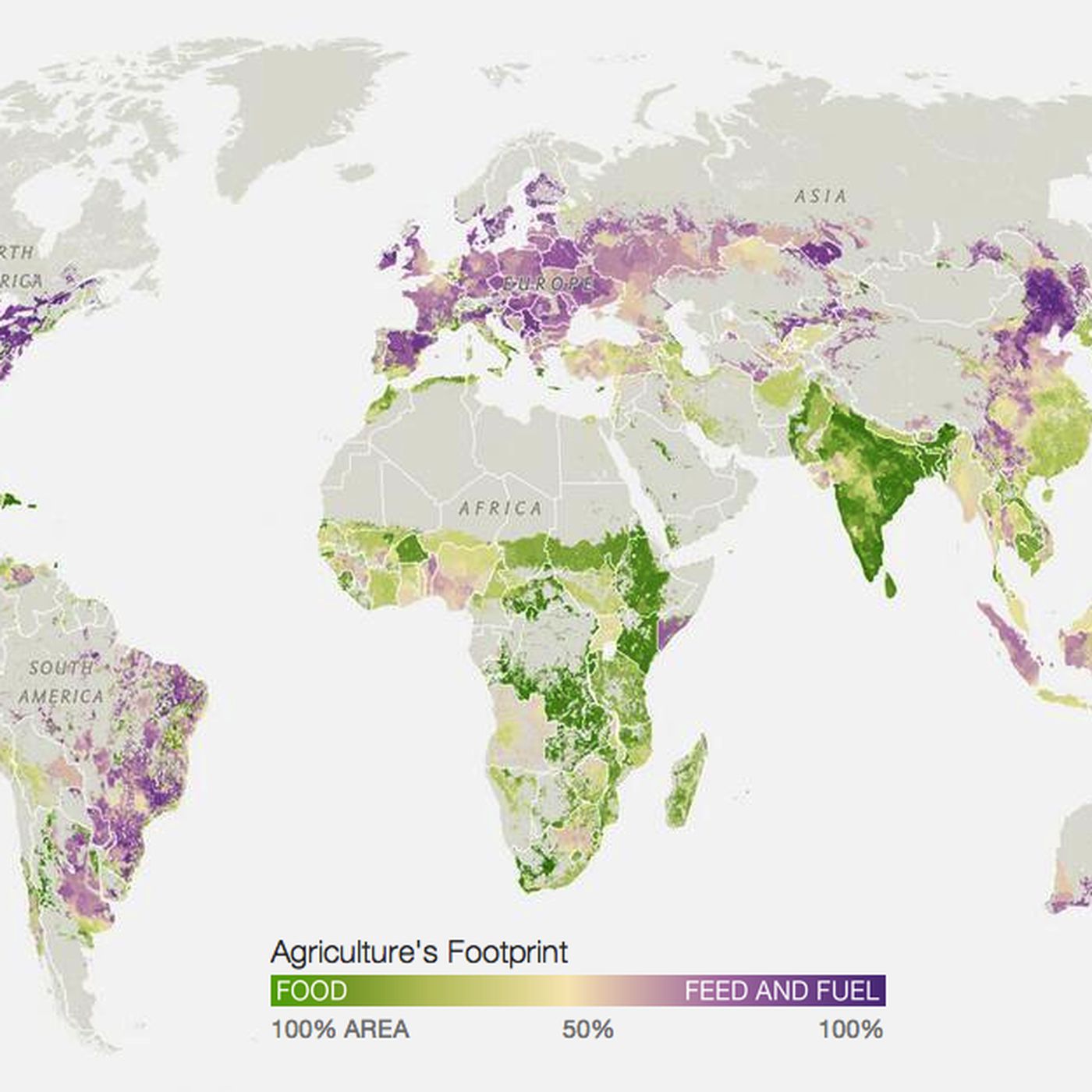How much of the world's cropland is actually used to grow food? - Vox