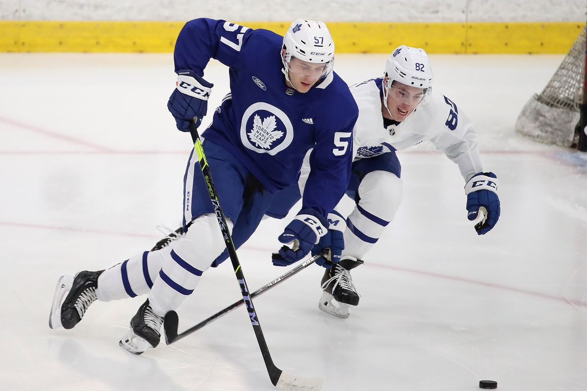 The Toronto Maple Leafs hold their development camp