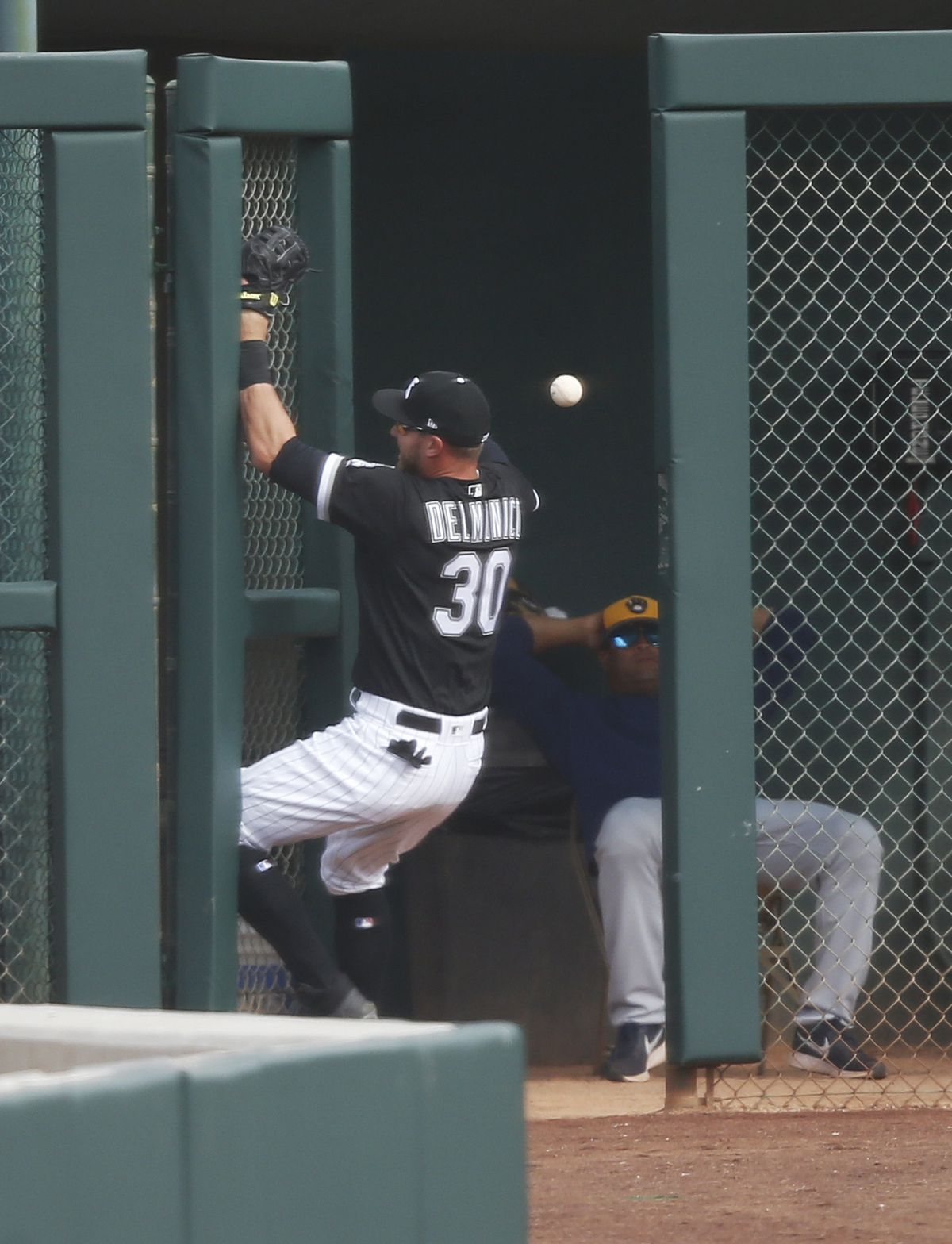 <em>Nicky Delmonico crashes into the bullpen door as he attempts to catch a ball hit by Milwaukee Brewers catcher Manny Pina in the seventh inning of a spring training baseball game Thursday. (AP)</em>