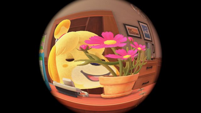 a screenshot of Isabelle smelling flowers in her office. the camera is using a fisheye lens so she looks goofy and round. 
