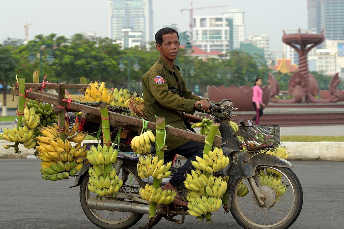 A man riding a bicycle carrying many bananas.