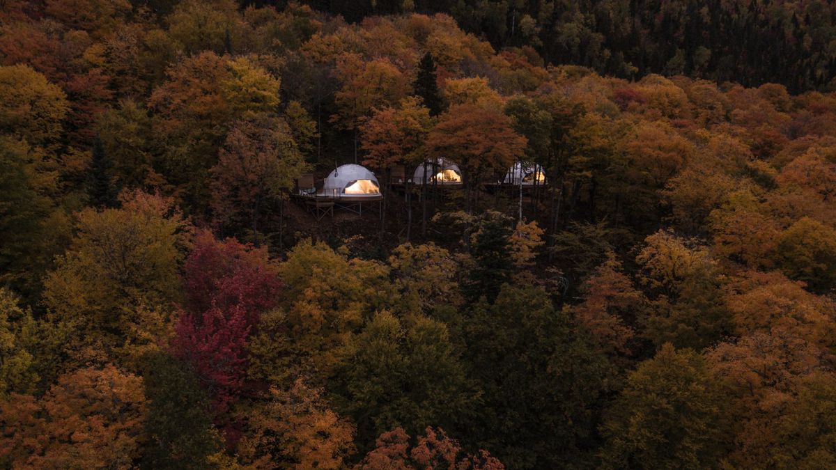 Three domes in the forest