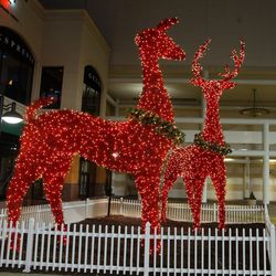 With a combined height of 48 feet, the world's largest man-made <a href="http://www.barrango.com/manzanitadeer.html">Manzanita reindeer</a> stand guard at the mall's Neiman Marcus entrance.  The reindeer are crafted from the branches of the Manzanita shru