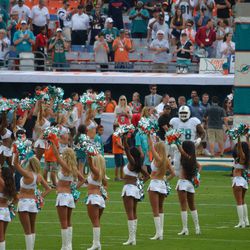 Dec. 15, 2013 Miami Gardens, FL - Miami Dolphins tackle Bryant McKinnie is introduced prior to the team's game against the New England Patriots.