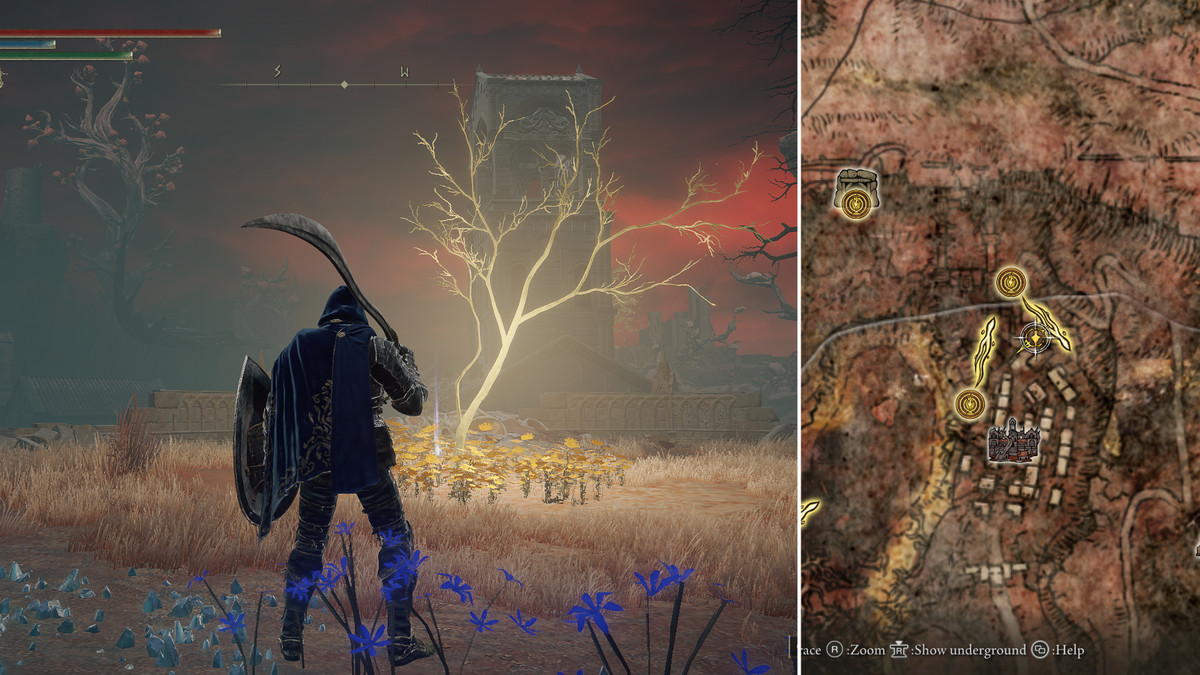 Split image showing the Sellia Backstreets Golden Seed location.