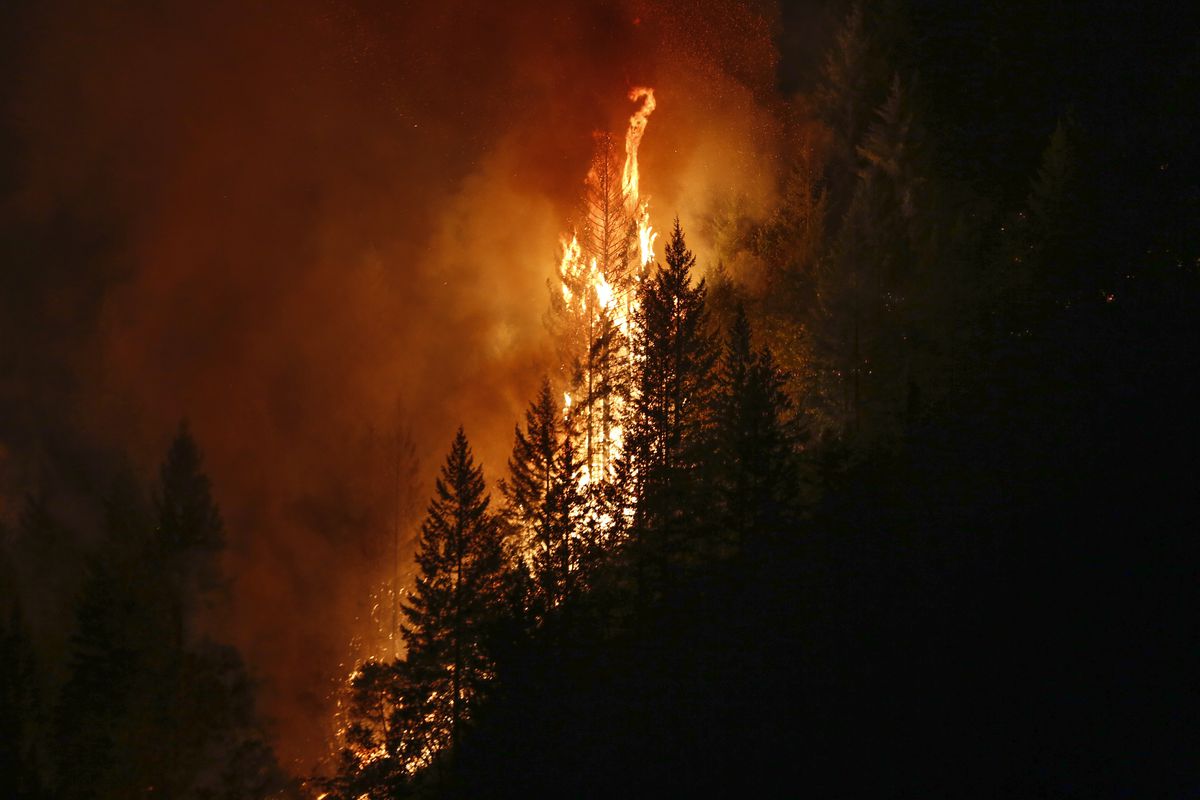 Death Toll Rises To 6 As Redding Area Wildfire Spreads To 90,000 Acres