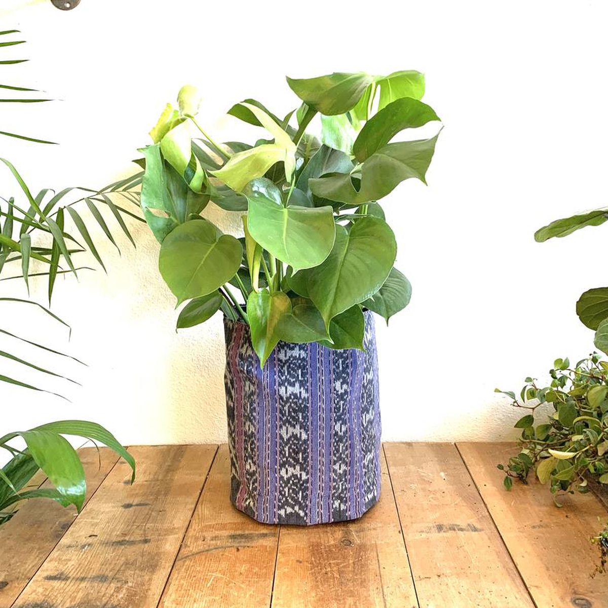 A plant inside a planter made of purple and black Ikat fabric