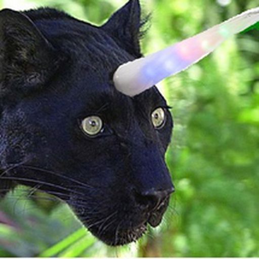 UNIPanther