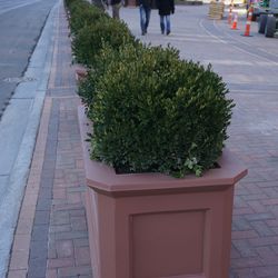 Planter boxes installed along Clark Street