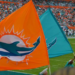 Dec. 15, 2013 Miami Gardens, FL - Miami Dolphins flags celebrate a score by the team in the second half against the New England Patriots.