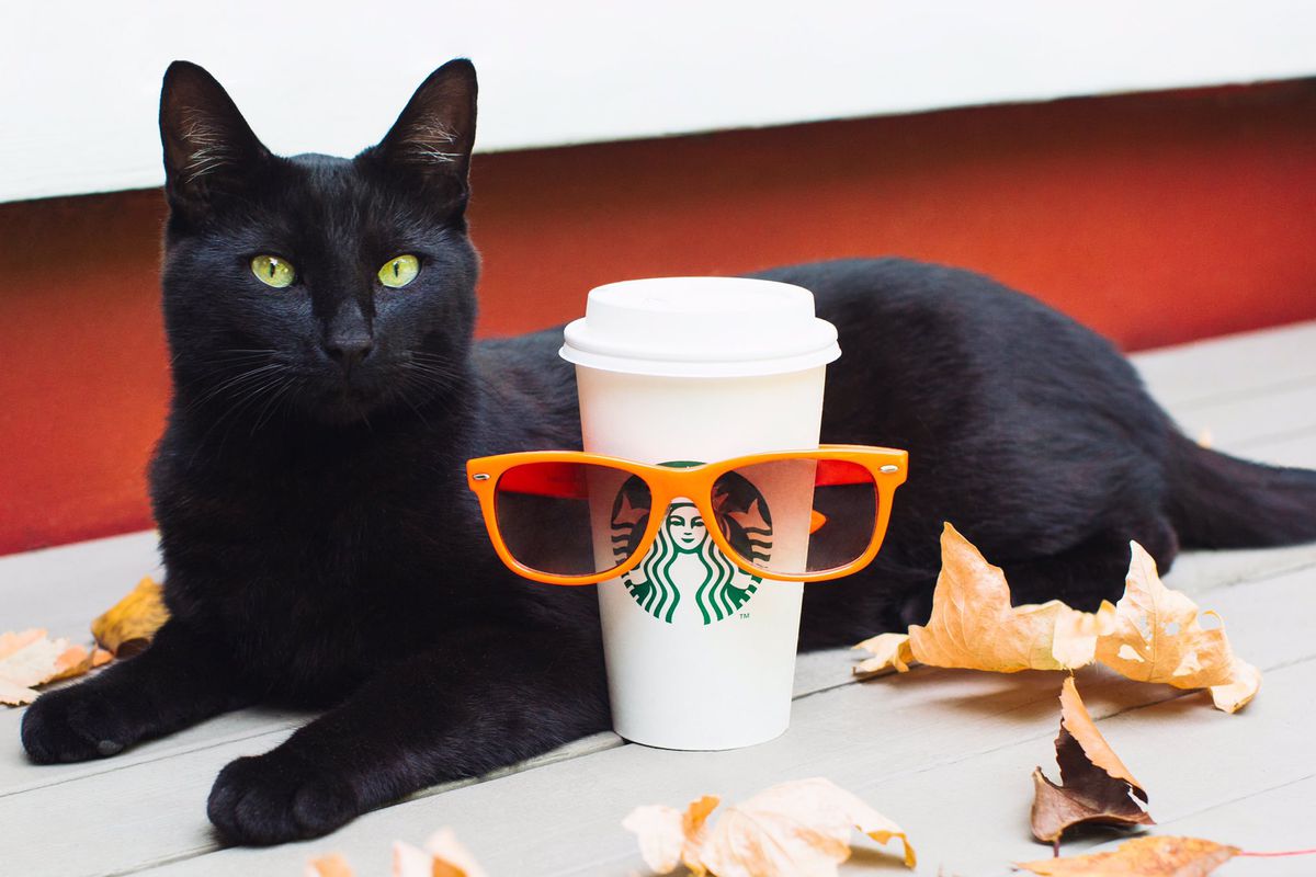 A black cat sitting lying behind a Starbucks cup that is wearing a pair of glasses.