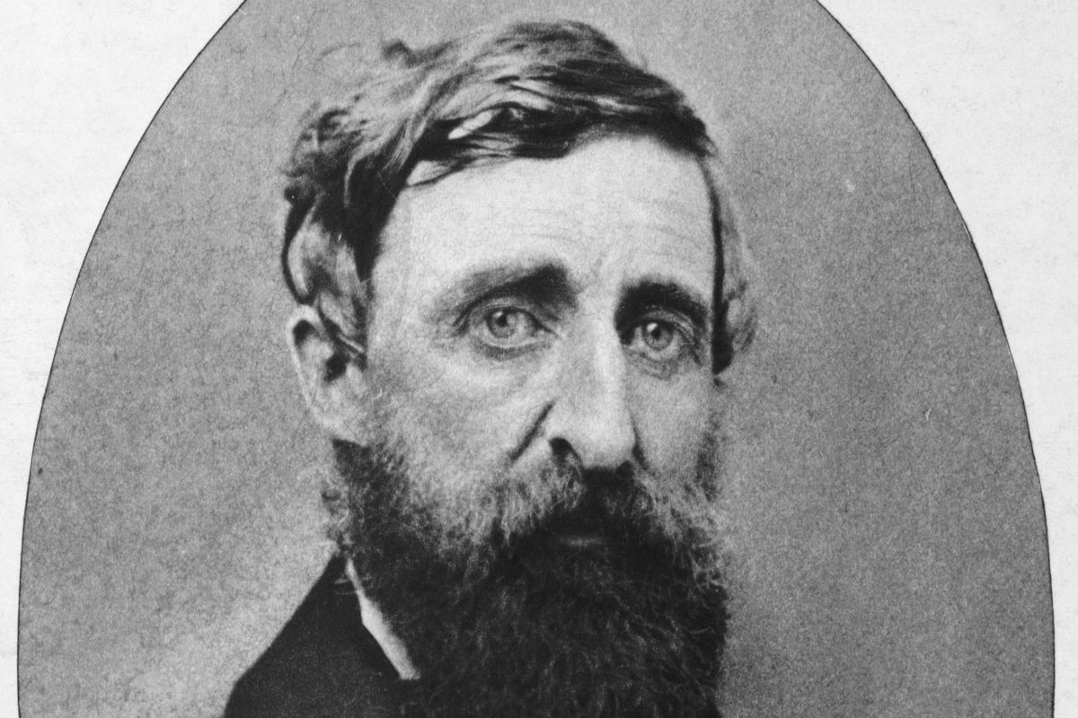 Portrait of Author Henry David Thoreau