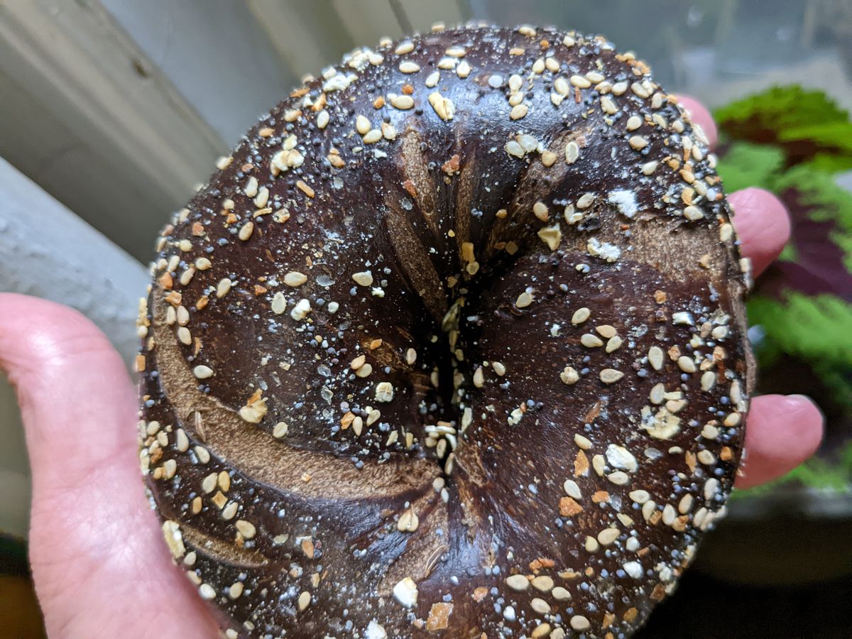 A hand holds a ark bagel sprinkled with seeds.