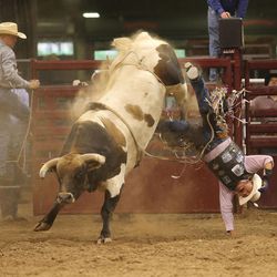 Guytin Tsosie is bucked off "Craft Jack" at the Day's of 47 PBR Rodeo at EnergySolutions Arena Monday, July 21, 2014, in Salt Lake City.