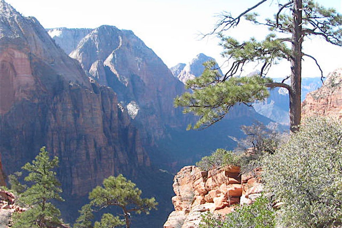 View overlook Zion Canyon, as you make your way up to the top of Angels Landing. Angels Landing Hike. Photographed on March 30, 2009. Friday, June 12, 2009 Photo by Steve Baker, Deserert News