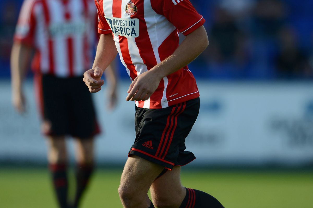 Is David Meyler carving out a new role for himself at Sunderland?