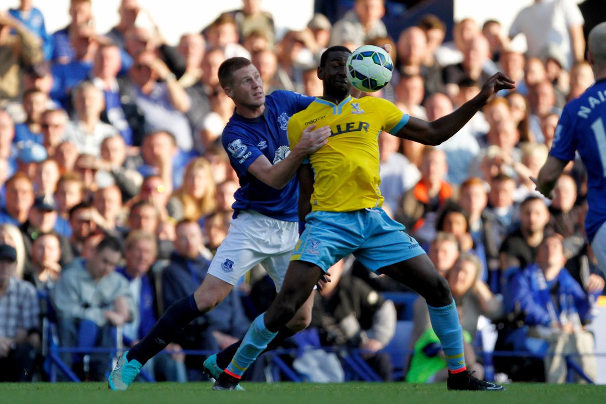 Soccer - Barclays Premier League - Everton v Crystal Palace - Goodison Park