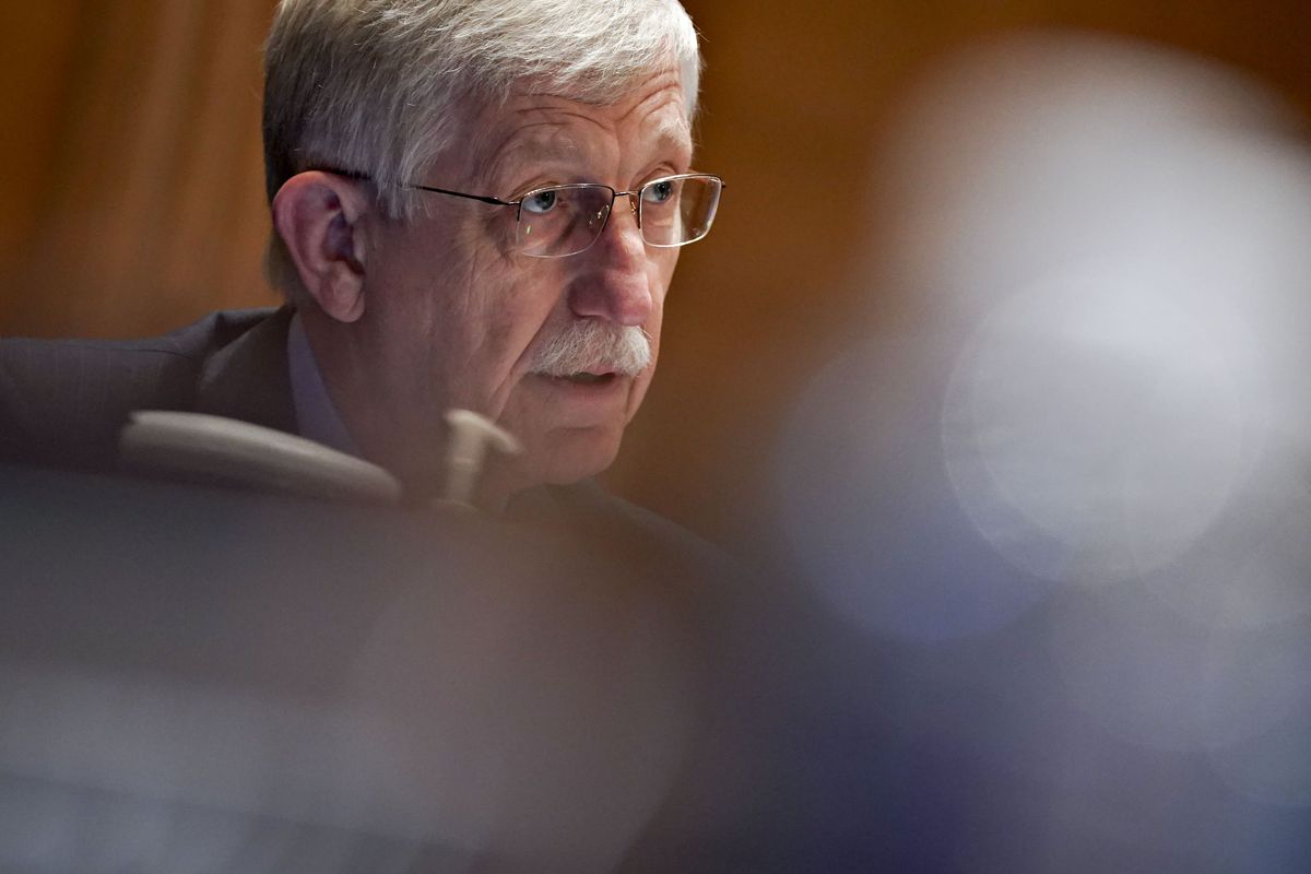 Dr. Francis Collins, director of the National Institutes of Health, speaking at a Senate hearing in May.