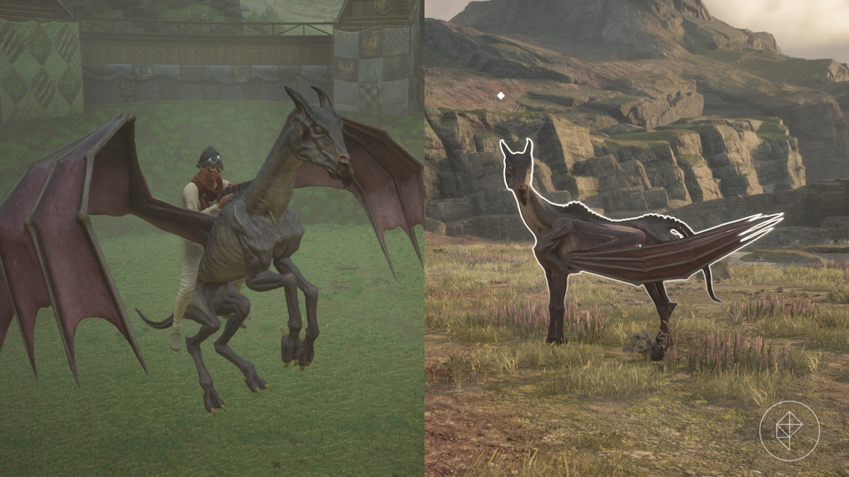 Thestral mount in Hogwarts Legacy. One shows it flying in the air and the other on land.
