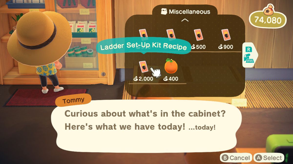Buying the Ladder Set-Up Kit recipe for 2,000 Bells in Animal Crossing: New Horizons