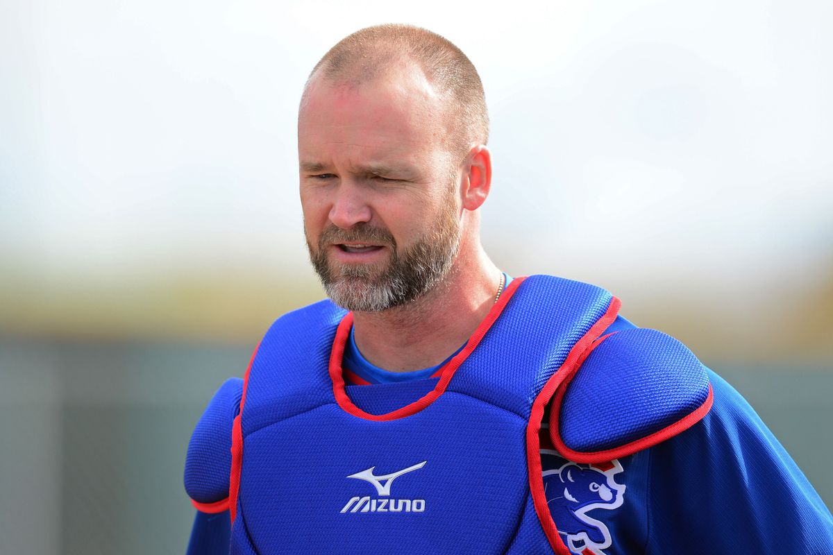 David Ross sporting the distinguished salt-and-pepper beard look.