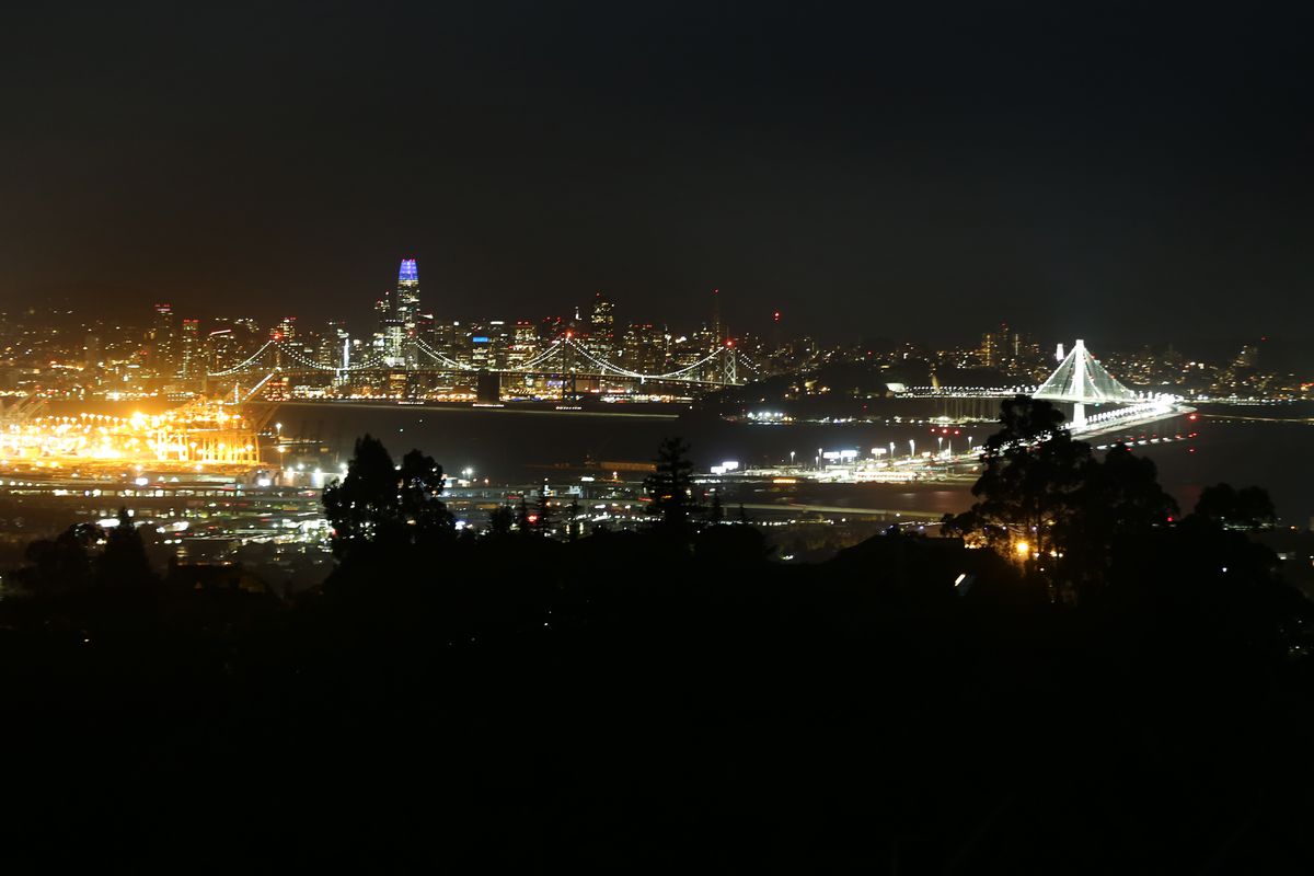 Darkened trees in the foreground, with tall buildings shimmering with lights in another city on the other side of a bay in the background.