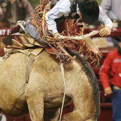 Cole Elshere begins to come off his horse in the saddle bronc ride of the Days of 47 Rodeo Tuesday, July 22, 2014, at EnergySolutions Arena in Salt Lake City.