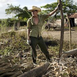In this Wednesday, Nov. 30, 2016 photo, Clemente Rodriguez uses a machete to build a fence for his field in La Yaya, Camaguey province in eastern Cuba. Cuba's eastern countryside is a region where farmers plow with oxen and people travel by horse-cart. But there are also neighborhood health clinics, small-town libraries and specialized high schools with dance and arts instructors. 