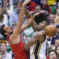 Utah's Derrick Favors defends Chicago's Marco Belinelli as the Jazz and the Bulls play Friday, Feb. 8, 2013 at Energy Solutions arena. Chicago won 93-89.