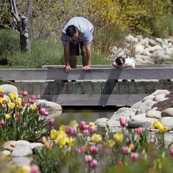 Thanksgiving Point's 14th annual Tulip Festival will run April 13-May 5.