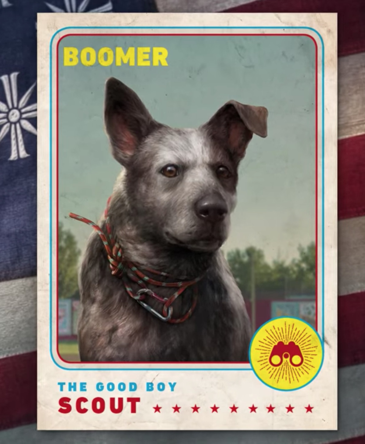 A baseball card of a dog named boomer. He has paracord for a collar and a sad, floopy ear.