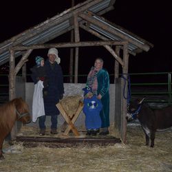 Reid Smith's Nativity scene included real animals and featured over 60 people throughout the evening.