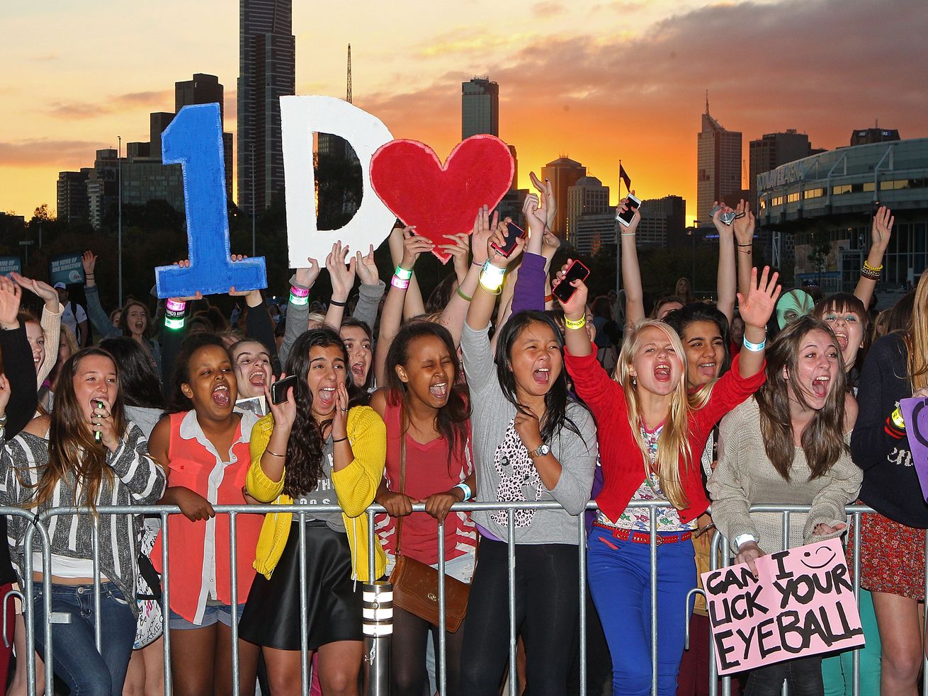 One Direction fangirls created the internet as we know it