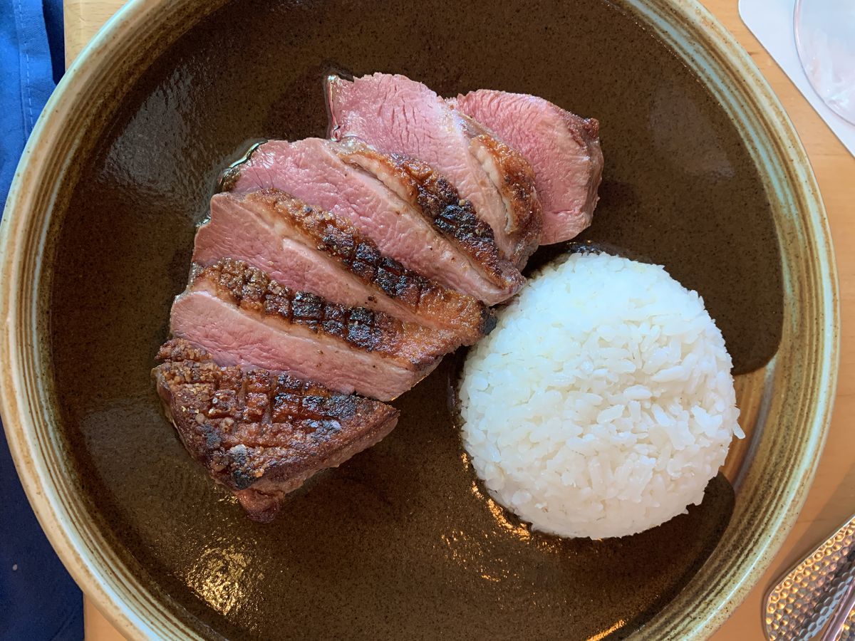 A plate of sliced duck breast with a mound of white rice on a blanket of brown sauce.