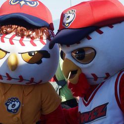 Hootz and Holly greet the fans at Brent Brown Ballpark for the Owlz' home opener on Saturday night. Later in the game, the couple announced the arrival of their son, Rowley.