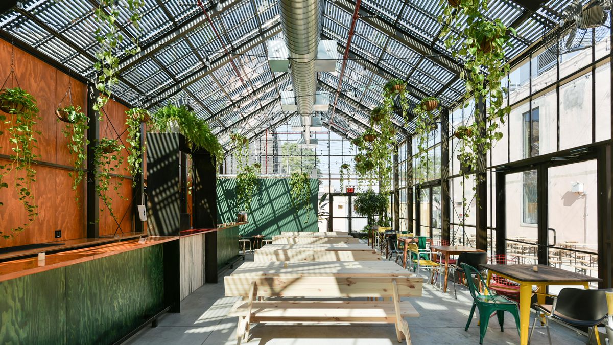 The inside of a greenhouse with plants hanging from the ceiling and wooden tables