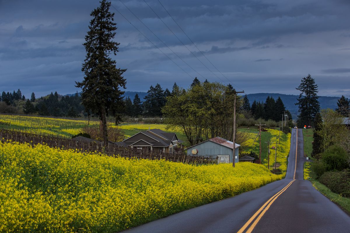 Heavy Spring Rains Drench Oregon Wine Country