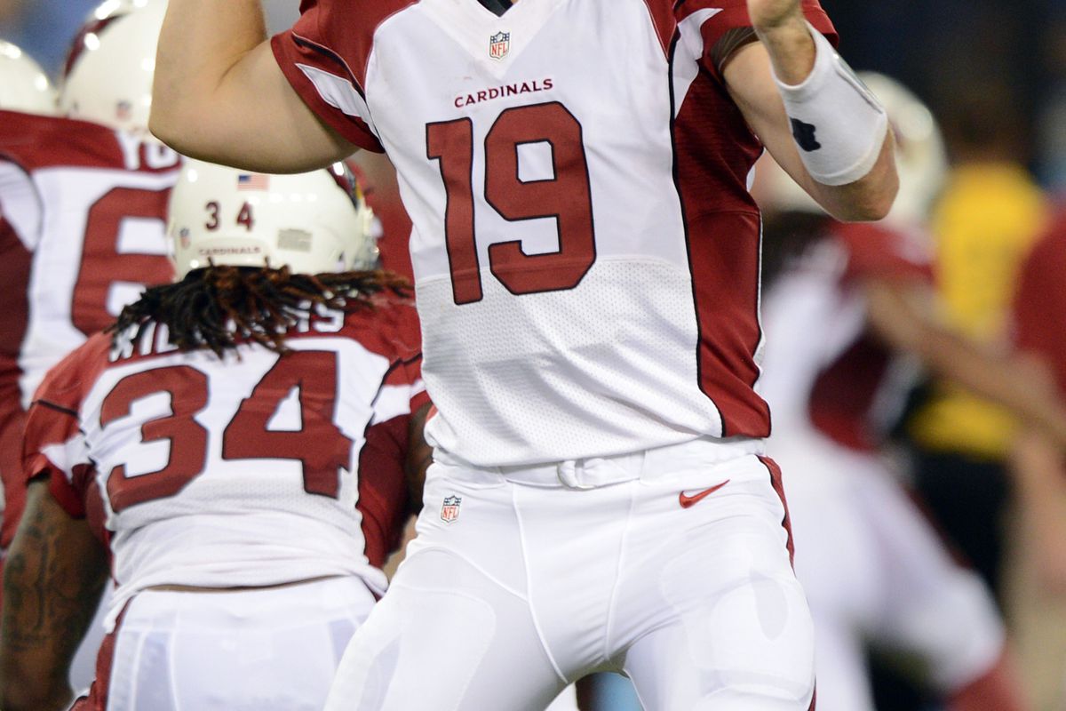 Aug 23, 2012; Nashville, TN, USA; Arizona Cardinals quarterback John Skelton (19) drops back to pass against the Tennessee Titans during the first half at LP Field. Mandatory credit: Don McPeak-US PRESSWIRE