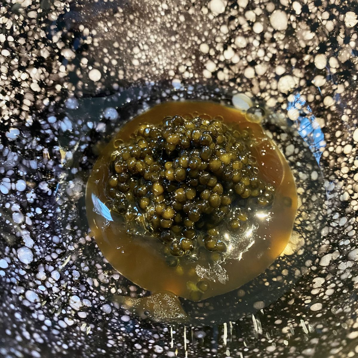 A dish with caviar in broth.