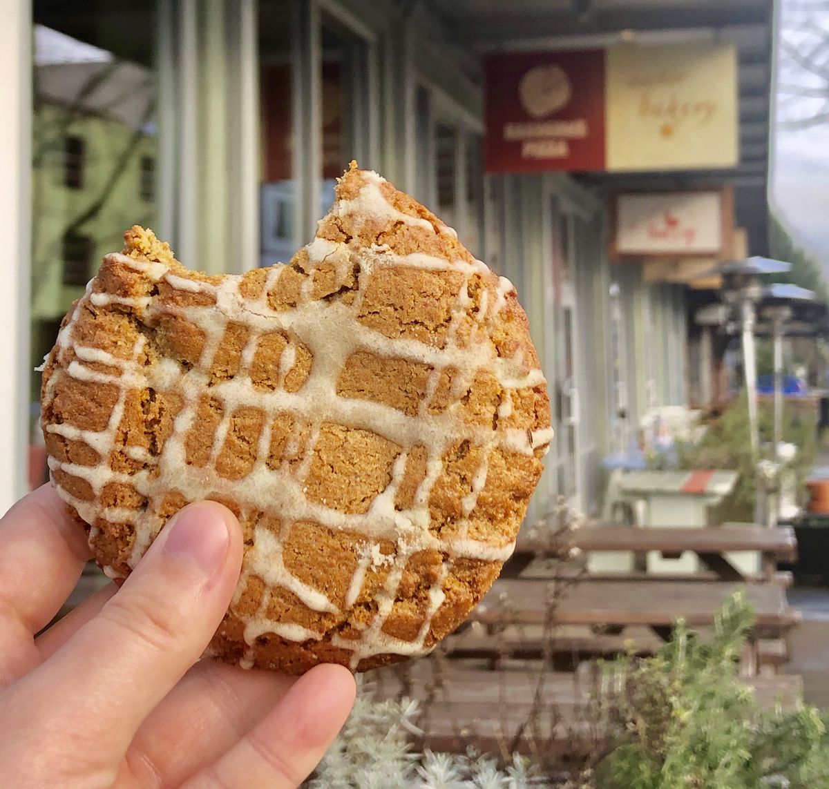 A hand holds up an orange-looking cookie with a lattice of royal icing, with one bite taken out of the top. It’s held up in front of the sign for Seastar Bakery