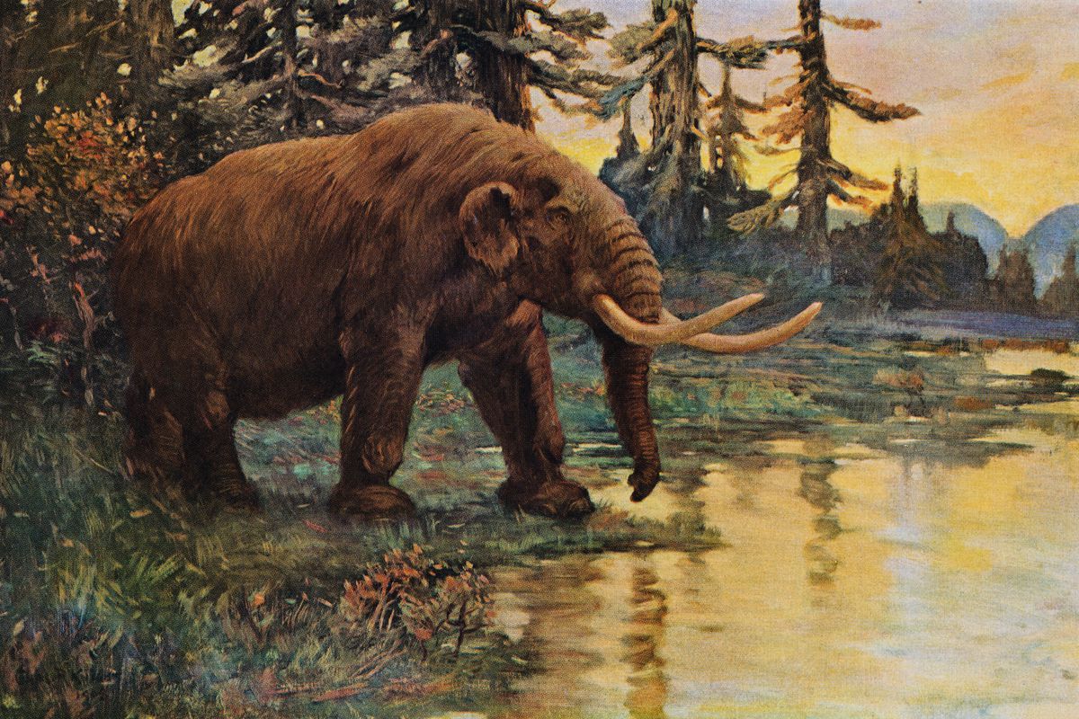 Illustration of Mastodon Walking Toward Lake