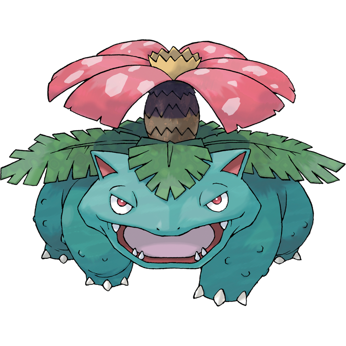 A hulking Venusaur does its best to smile for the camera.