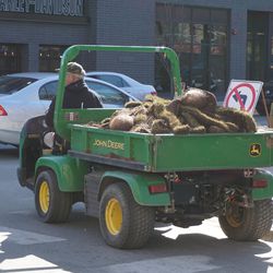 Old sod being driven to the Cubs Brown Lot