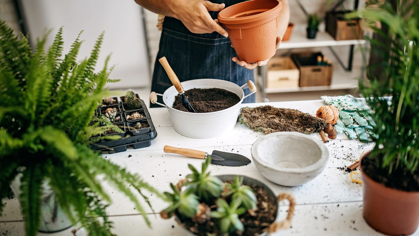 Ensure Healthy Plants All Season Long: Reuse Your Potting Mix with Proper Storage and Maintenance