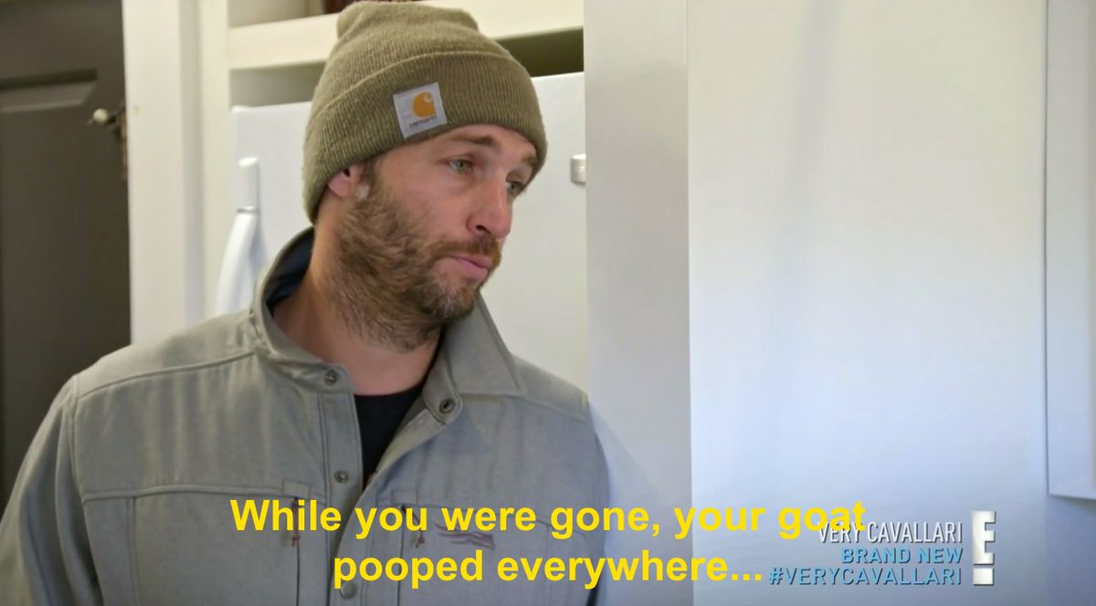 Jay Cutler saying, “While you were gone, your goat pooped everywhere...”
