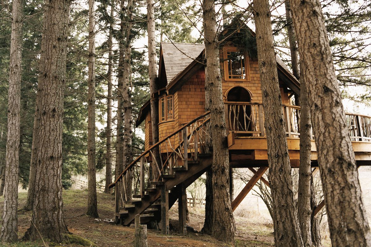 Shingled treehouse in Washington State
