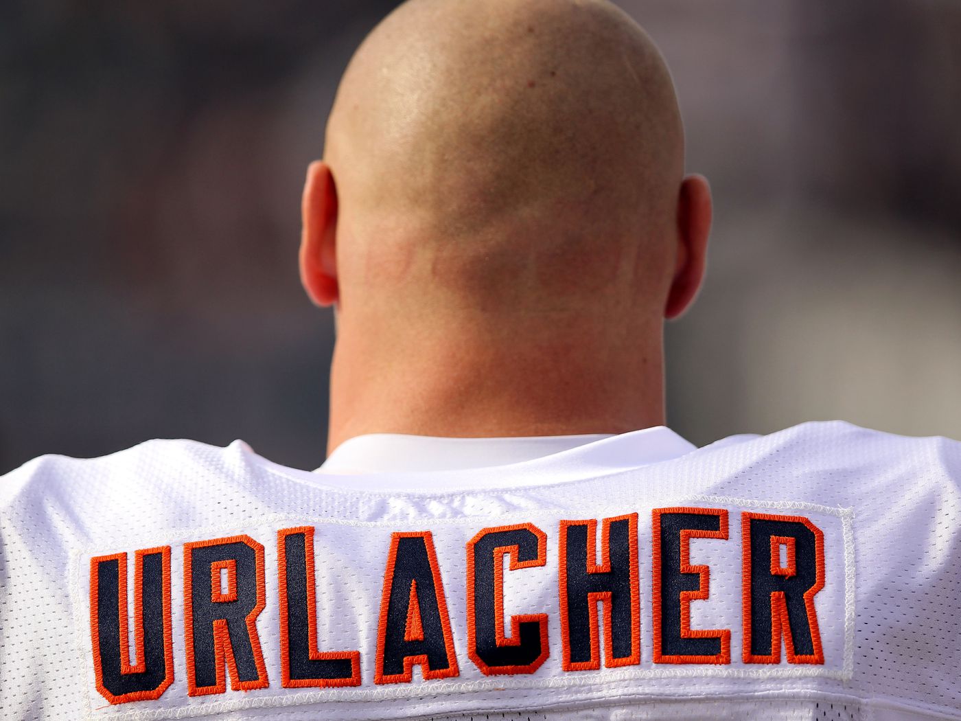 Brian Urlacher Announcers Retirement from the NFL - Dawgs By Nature