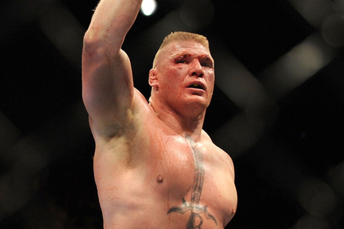 Brock Lesnar is the No. 1 heavyweight in the MMAForReal.com rankings.