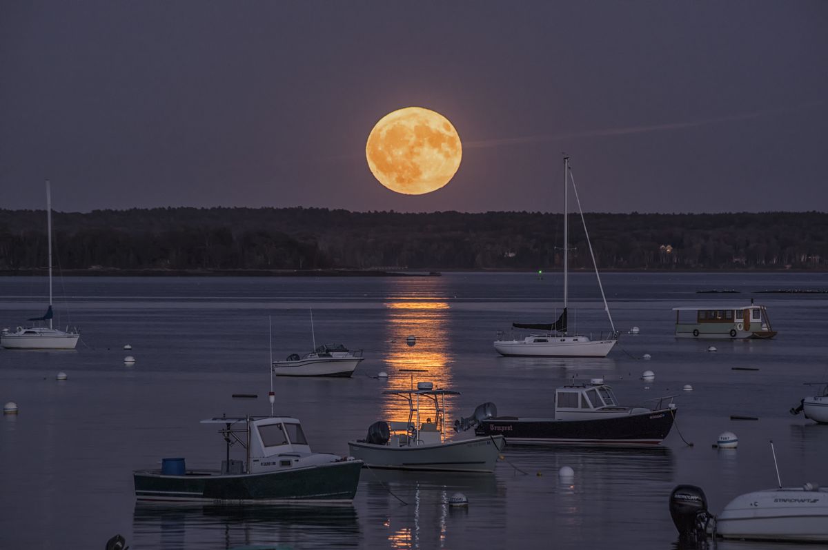 A beautiful, golden harvest moon rises over Falmouth Harbor, Maine